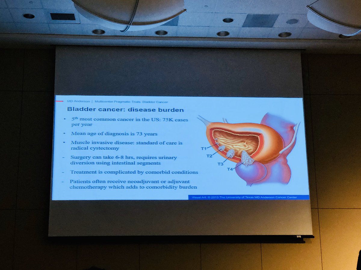 TTamikaW's tweet photo. @VikramNarayan Discussed what components of ERAS matter most for bladder cancer patients . Good Talk ! #enhancedrecovery2020 @nnavai @mo_seif @MDAndersonNews https://t.co/SRCNnDQ2xa