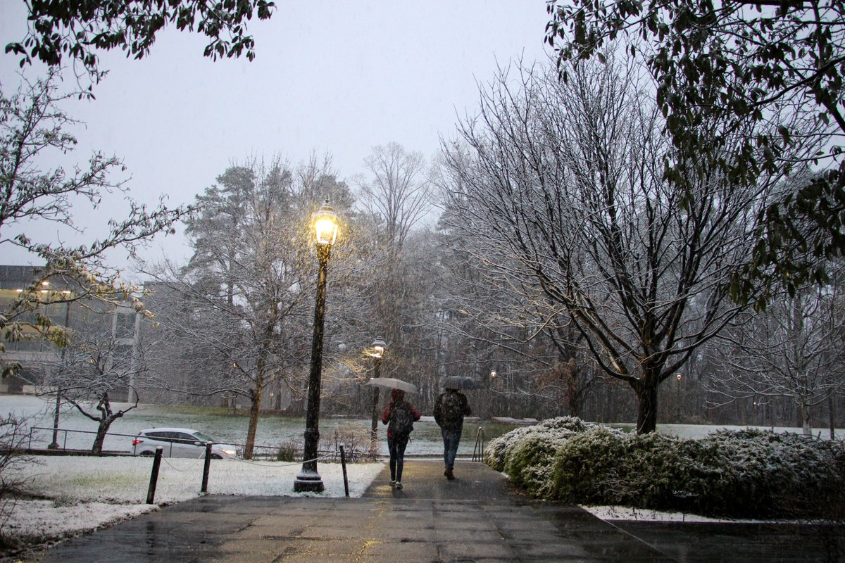 DukeLaw's tweet photo. A few scenes of this evening's beautiful snowfall ❄️ outside Duke Law!
#pictureduke #dukecampus https://t.co/mkKXqkXhzu