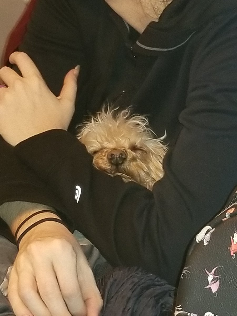 LATTE #LoveYourPetDay