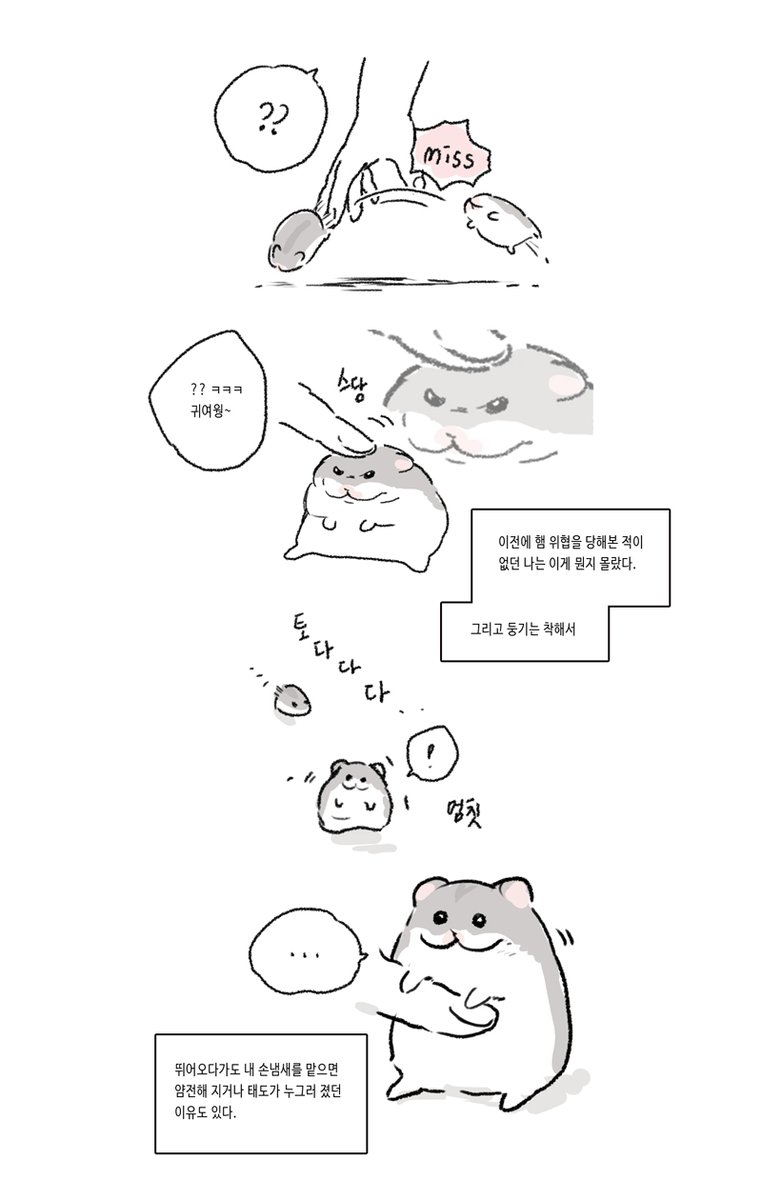 작은햄이야기1 