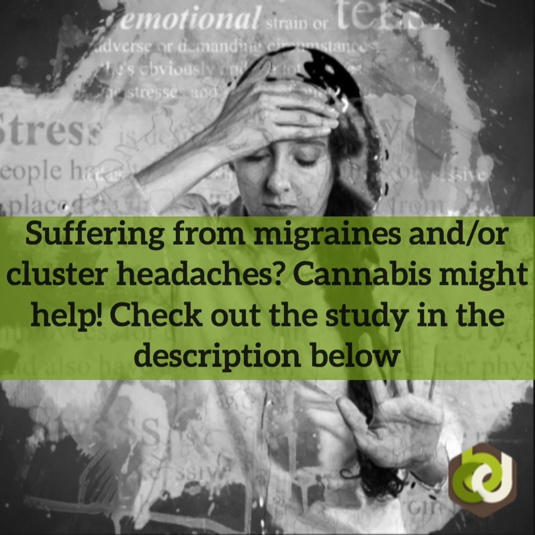 Cannabis and migraine/cluster headaches studies have shown promising results for reducing these hard to treat pains!👍 
-
-
-
ow.ly/bpDI50ygLSy
#cbd #cbdoil #cbdanxiety #depression #cbdsleep #cannabidiol #cannabiscommunity