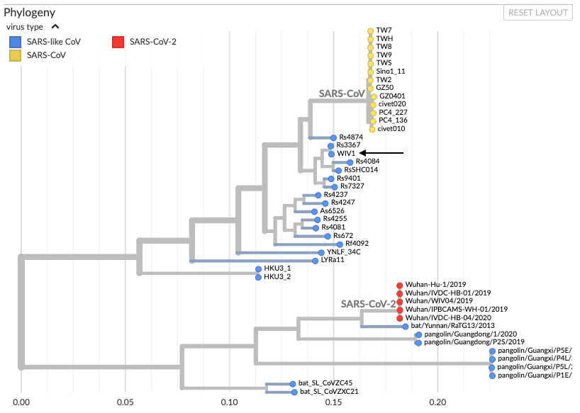 Data point #1 (virus group): #SARSCoV2 is an outgrowth of circulating diversity of SARS-like viruses in bats. A zoonosis is expected to be a random draw from this diversity. A lab escape is highly likely to be a common lab strain, either exactly 2002 SARS or WIV1. 5/21