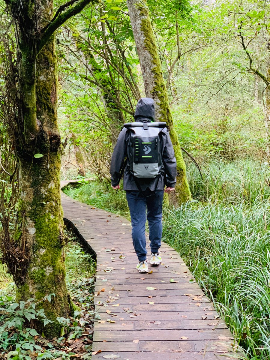 Seattle Sports tweet media