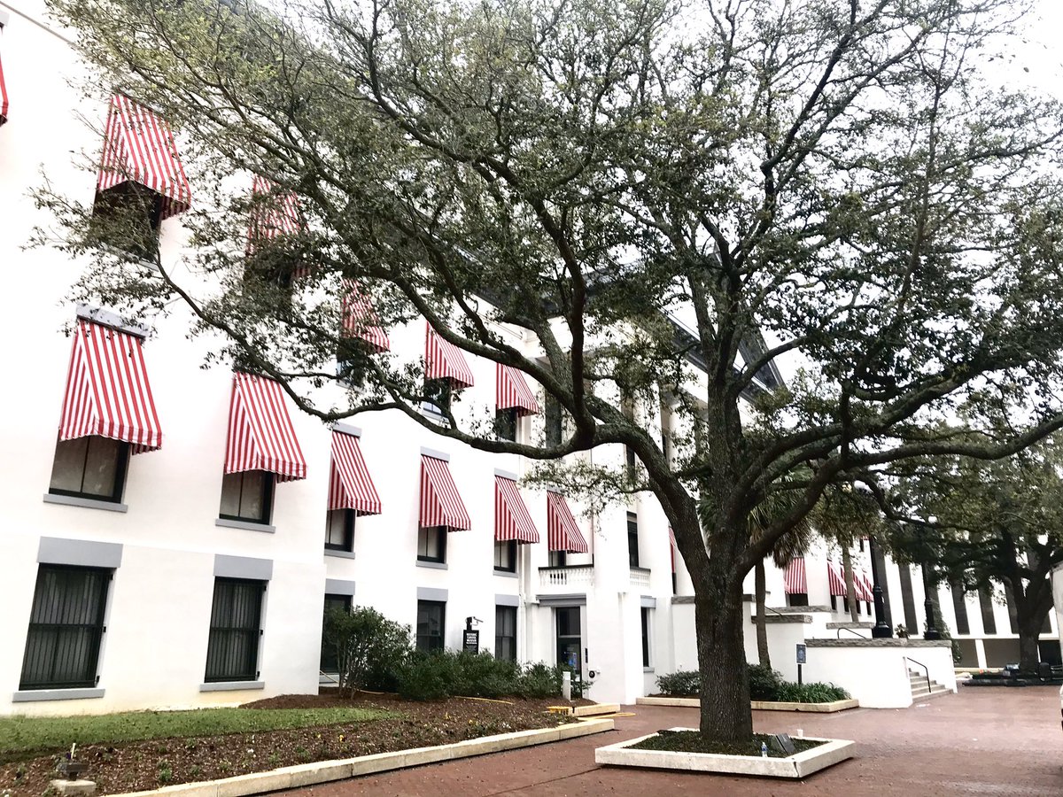 roxieontheroad's tweet photo. Went to visit the #floridastatecapitol, my 19th #statecapitol. Love the old capitol’s awnings and frieze above the door. And the dolphins are cool! @visit_tally #ihearttally #florida #lovefl #roxieontheroad https://t.co/tpIhUN91OU