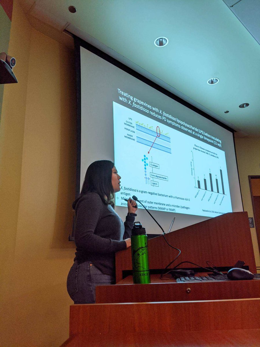 Roper Lab @ UC Riverside (@roperlabucr) on Twitter photo Roper lab members <a href="/microbe_manager/">Christopher Drozd</a> and <a href="/BiofilmClaudia/">Claudia A. Castro</a> presented their PhD research today during the UCR Plant Pathology student seminar! #HLB #Xylella Roper lab members <a href="/microbe_manager/">Christopher Drozd</a> and <a href="/BiofilmClaudia/">Claudia A. Castro</a> presented their PhD research today during the UCR Plant Pathology student seminar! #HLB #Xylella