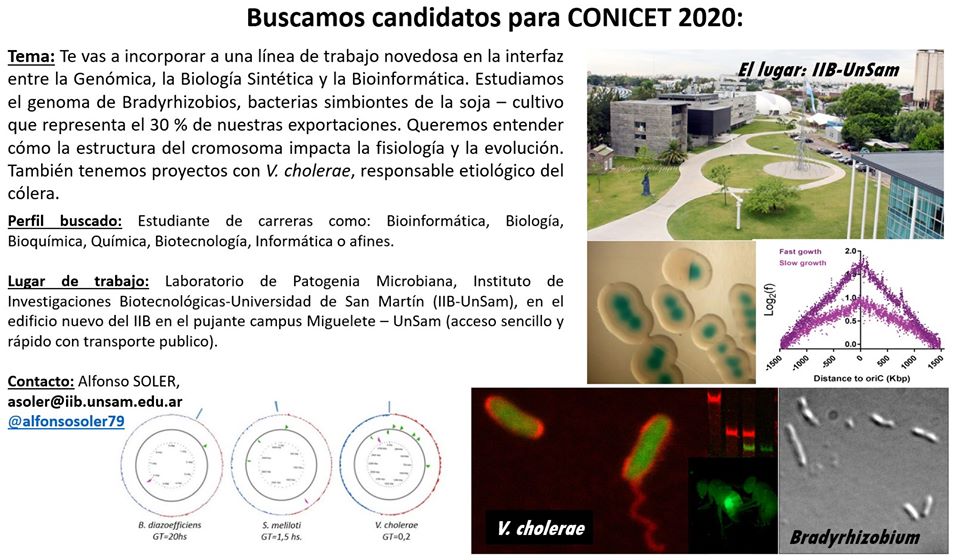 Estamos buscando candidato doctoral para el llamado a Becas de CONICET 2020 @CONICETDialoga !! Queremos reprogramar el crecimiento bacteriano! @unsamoficial  
#BiologiaSintetica #Genomica #Microbiologia