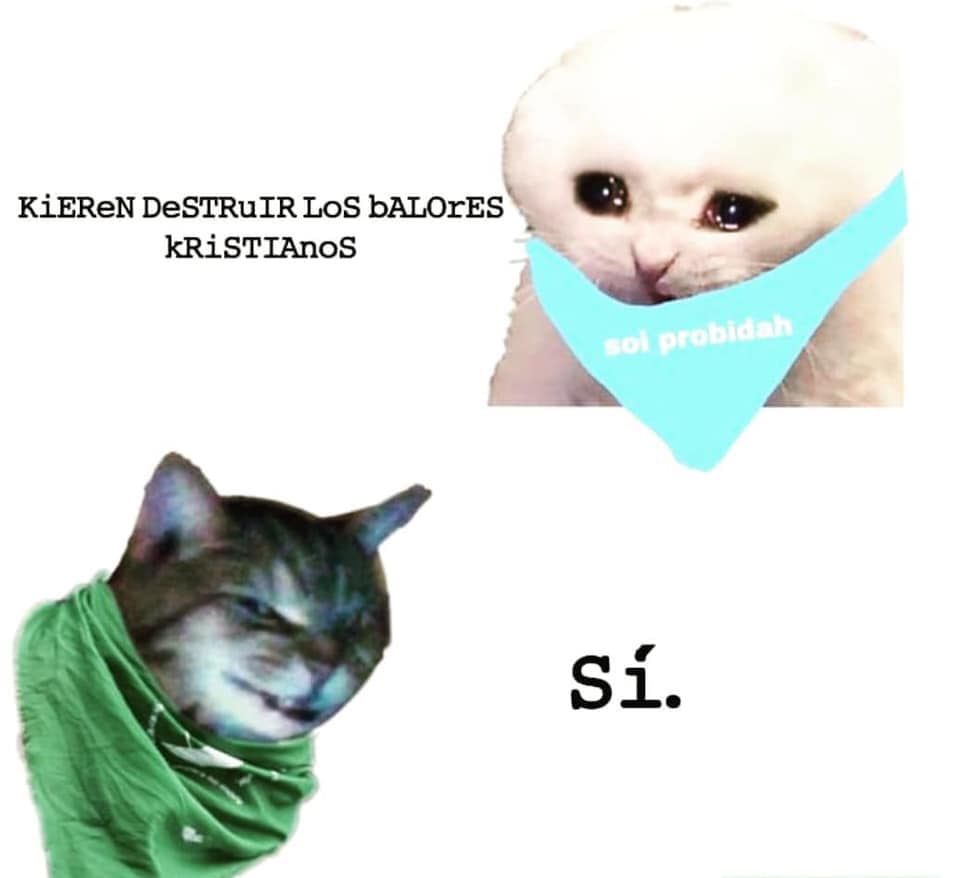 Quisque hoy es el día internacional del gato, tonz, mucho cat power para todas.