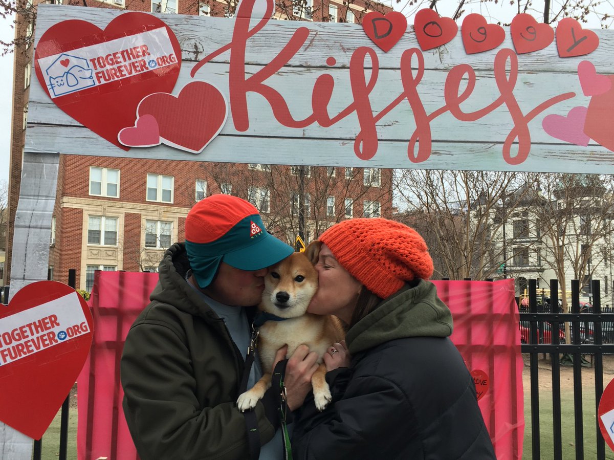 2gether_furever's tweet photo. A perfect day for smooches!💋🐾 Thanks to everyone for stopping by and supporting us as we get started. ❤️ - more photos on our FB page. 
#smoochyourpooch #togetherfureverdc #doggykissingbooth #nationalloveyourpetday #keepingpetsandpeopletogether #dogsofdc #dcdogs #dcevents https://t.co/27skX4RBYW