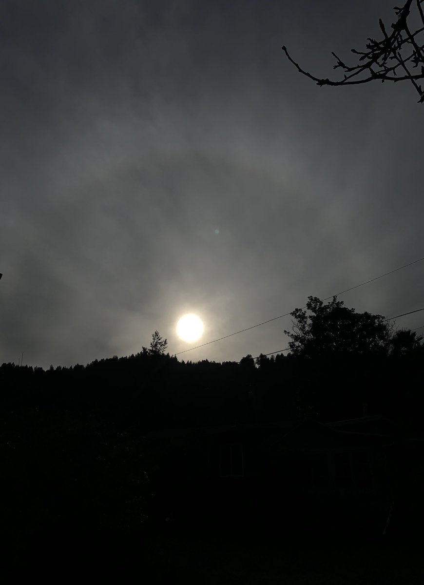 lulabelldesign1's tweet image. Because a every sunset should look like this: #FakeSky #ArtificialClouds #ChemSky #Geoengineering