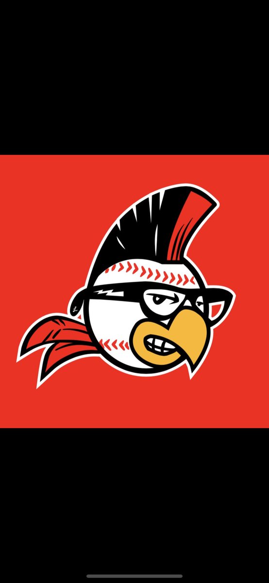 The wait is over! Our Major League hoodies and tees are now available online and will be in store when the doors open tomorrow at 10AM. We also have kids tees in stock. Hats droppin🔜🤭.
#baseball #majorleague #502originals