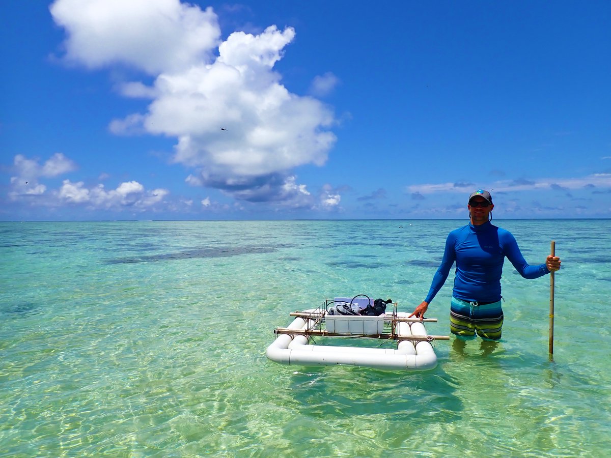 Coulson_Lantz's tweet photo. I've been on Heron Island for a month measuring community calcification and production with our team @CoralTrace @BillLeggat1 @jesseb3rg @thedivinggoose. Sadly, we've seen corals in the shallows begin to bleach and are monitoring the situation closely @UNSWScience @UON_research https://t.co/su0vSPK0q1