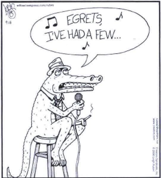 Austin What Now tweet media