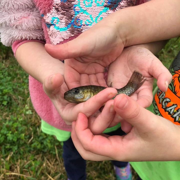 BourgElementary's tweet photo. Rain or shine Mrs. Dupre’s class always has a great time! Lumcon field trip 2020 🦐🐟🦀
#wherelittlelionsroar 
#differencemakers 
#tpsdpride https://t.co/oQTZmemePw