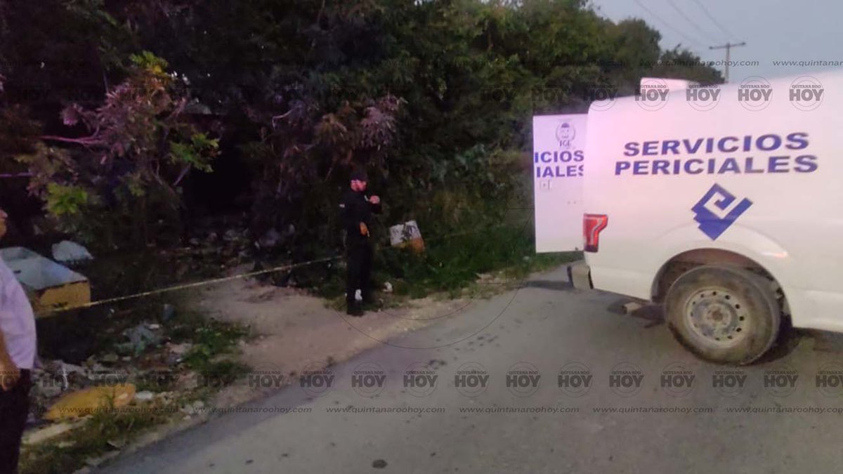 QuintanaRooHoy1's tweet photo. #AlertaQH 🚨
Con el rostro desfigurado y la cabeza con signo de violencia, fue hallado el cuerpo sin vida de un hombre al interior de un predio ubicado en la SM 226, sobre la avenida 20 de noviembre de Cancún. https://t.co/uXx9KgKtPF