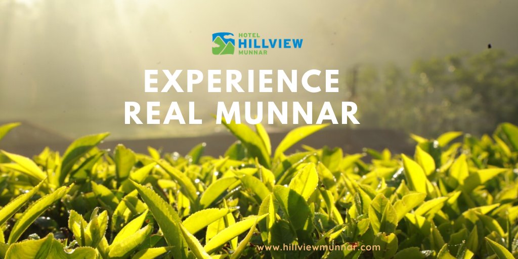 HotelMunnar's tweet photo. Enjoy every moment with Hotel Hillview Munnar https://t.co/W9gMdNNW66