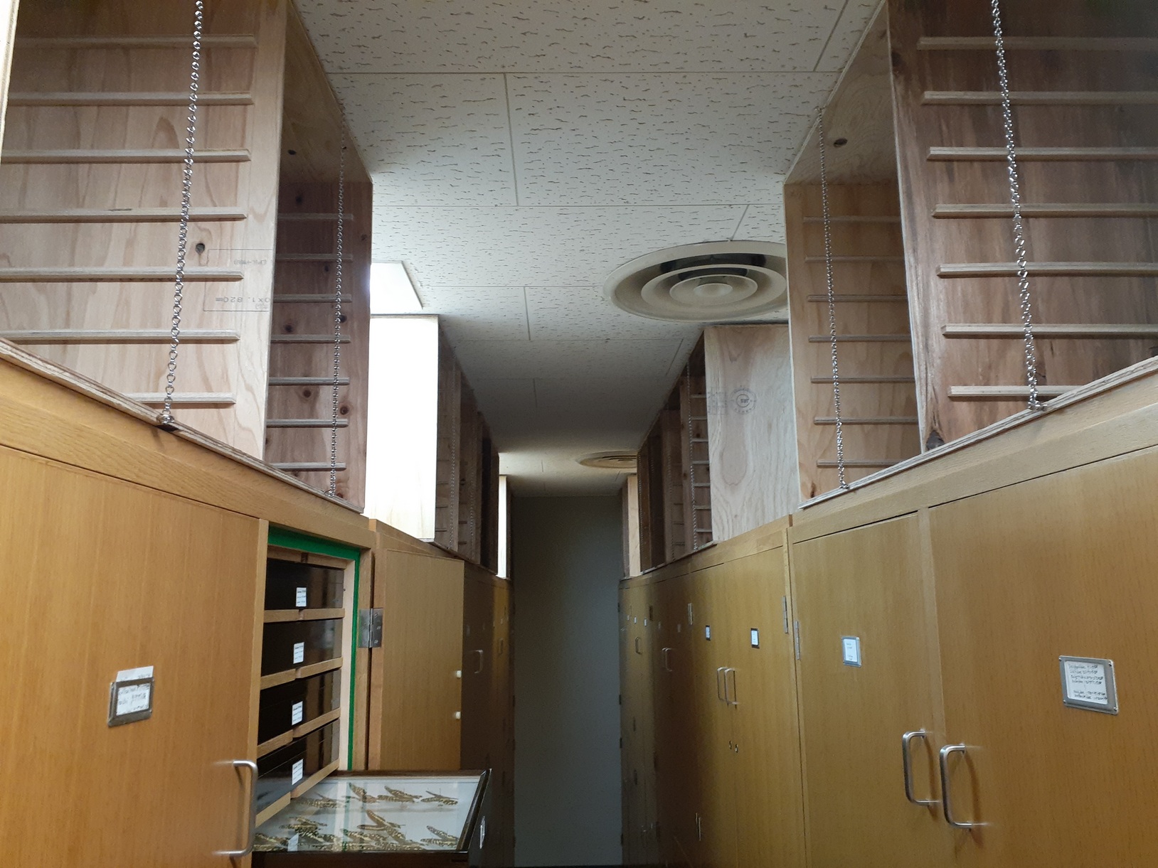 標本棚（ドイツ箱収納棚）　ワンオーナー品 標本棚（ドイツ箱収納棚） ワンオーナー品 標本棚（ドイツ箱収納