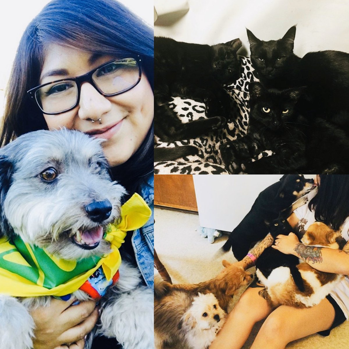 Sendy Silva tweet media