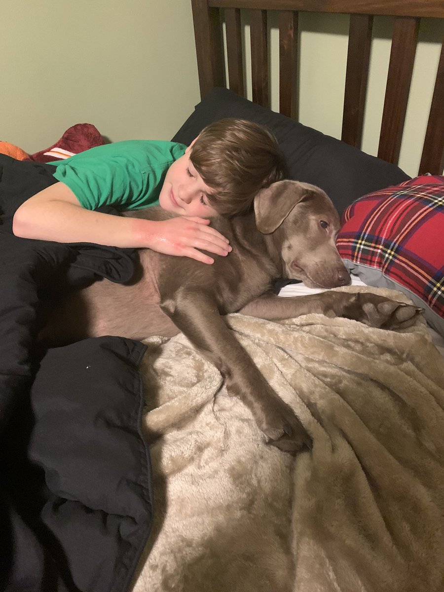 AngieGutenson's tweet photo. Luke and #LakeAnnaLilly ... we love our silly lab.   #LoveYourPetDay https://t.co/rVvGtQGg2t