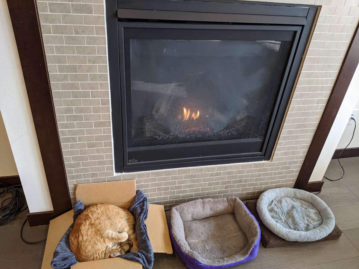 Orange cat in a cardboard box on the left side of the fireplace.