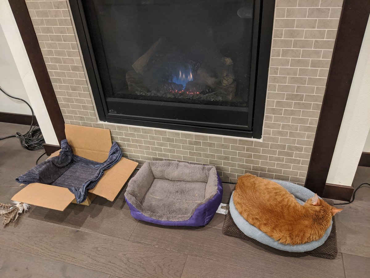 Orange cat on a mat on the right side of the fireplace.