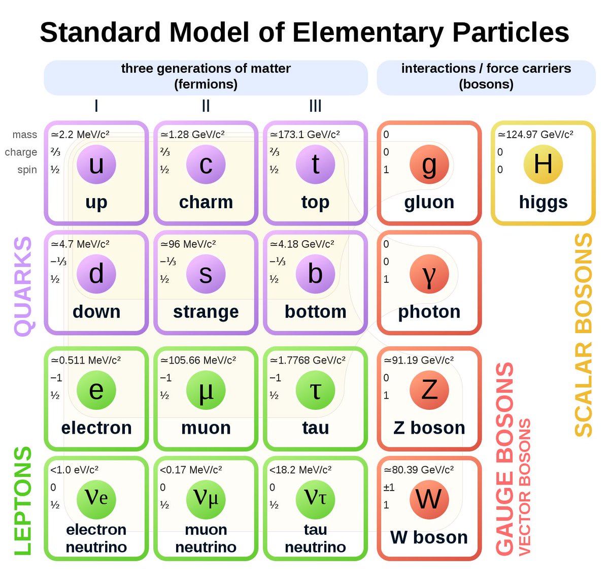 Illustration of the Standard Model Elementary Particles from Wikipedia [link in tweet].

Quarks: up/down/top/bottom/charm/strange

Leptons: electron, muon, tau, and neutrino counterparts of each.

Bosons: gluon, photon, Z boson, W boson, higgs
