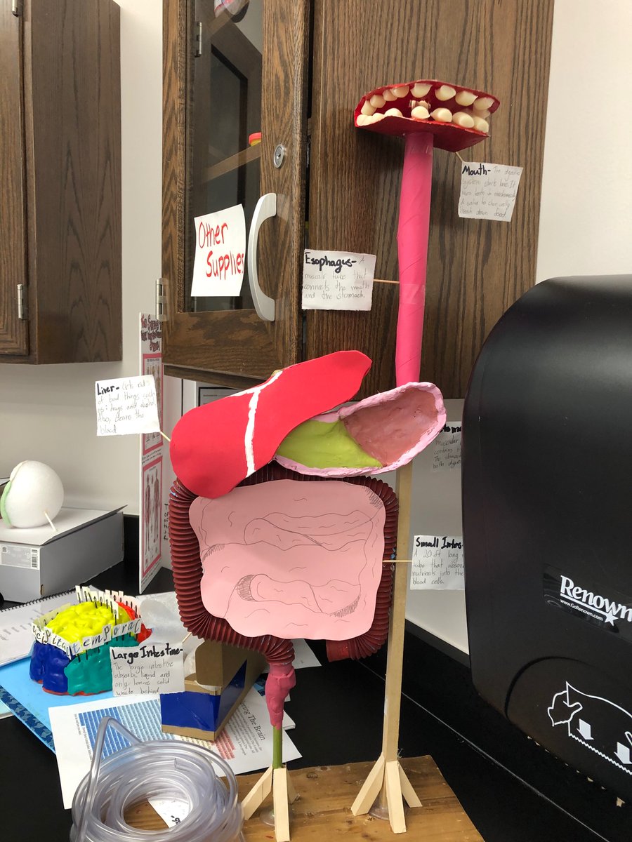 XanthiaVanderf2's tweet image. Aren&apos;t these projects awesome?!?  My students ROCK!!!  Beyond proud!!! @HofiusKISD #Soaringintoscience #Hawks❤️Feedback #Hawksome #proudteacher