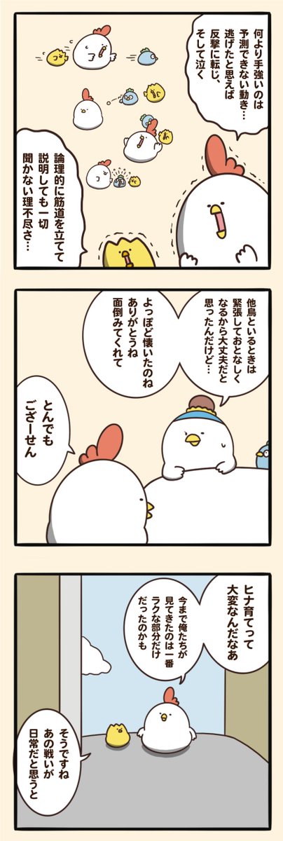 ヒナ育て 