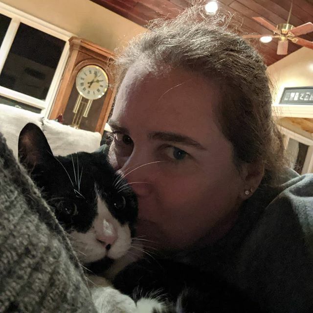 Sandy Hogan tweet media