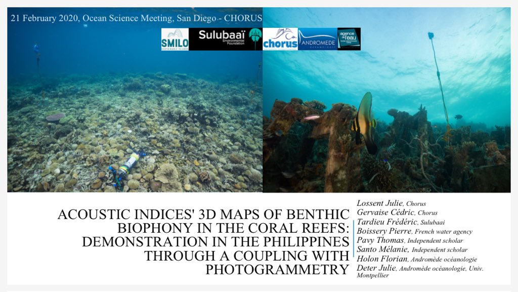 CHORUSacoustics's tweet photo. Joint us tomorrow morning in Room 7A at 08:45 for a presentation about #Soundscape and 3D mapping in coral reefs ! #OSM20 Benthic sounds in restored reefs at #sulubaai foundation PIMPA Island in the Philippines ! @SauvonsLeau #ConservatoireDuLittoral #SMILO #AndromedeOceanologie https://t.co/Uu2rac16Im