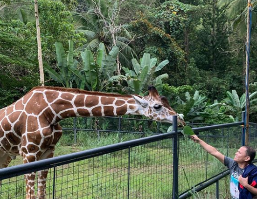 Cebu Safari & Adventure Park tweet media