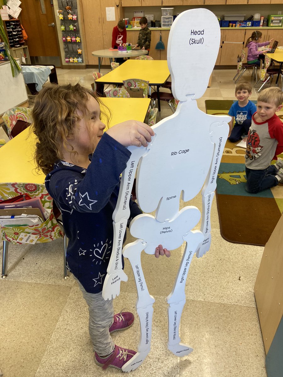 ferrykinders's tweet photo. We read a human body informational text about skeletons, and then the children were very excited to get started with centers today! #rowvastrong #rowvaelem https://t.co/qrVpJkvMDf