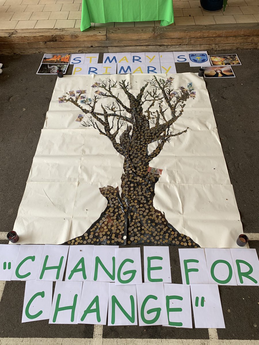 StMarysRydal's tweet photo. The community of @StMarysRydal stands with the communities affected by the bushfires. Today we changed this blackened tree with our gold and silver coins as well as some notes (leaves)! Grades participated in a reflection, prayed for the victims and donated generously $826.40. https://t.co/UocSGxTXRc