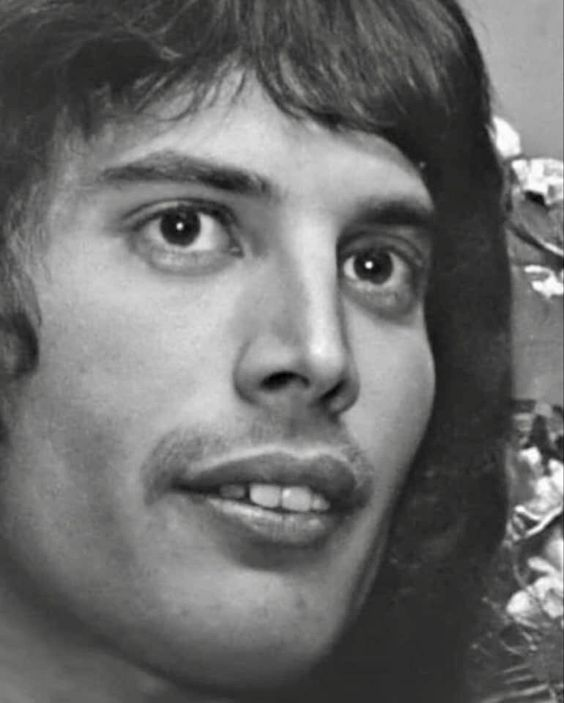 Mery_LovesFredd's tweet photo. Spread the love To our beloved king!! Have a great #FreddieMercury day @OIQFC @QueenieOfNorway
@_merina__ @violetnyanco @freddiequeenluv
@rogbrijohnfred4 @yeon_Queen1233   
#freddiemercury #FreddieFriday #Queen 
@misfeller ♥️♥️♥️♥️ https://t.co/cc5c1ilwTs