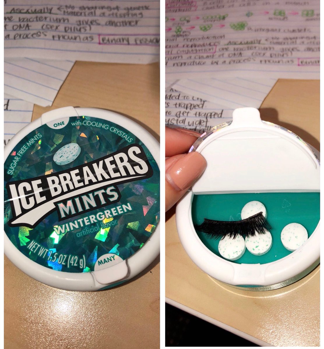 itseri1926's tweet photo. I asked my seat partner for another mint and she passed me the container. When I opened it this is what I saw and realized I ate 5 of her minty lashes. https://t.co/ruPEkNFBmL
