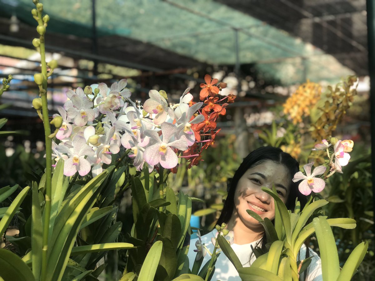 ZinZar203039's tweet photo. Orchid 🌸
#flowers
#zinzar https://t.co/Q65Obcs19o