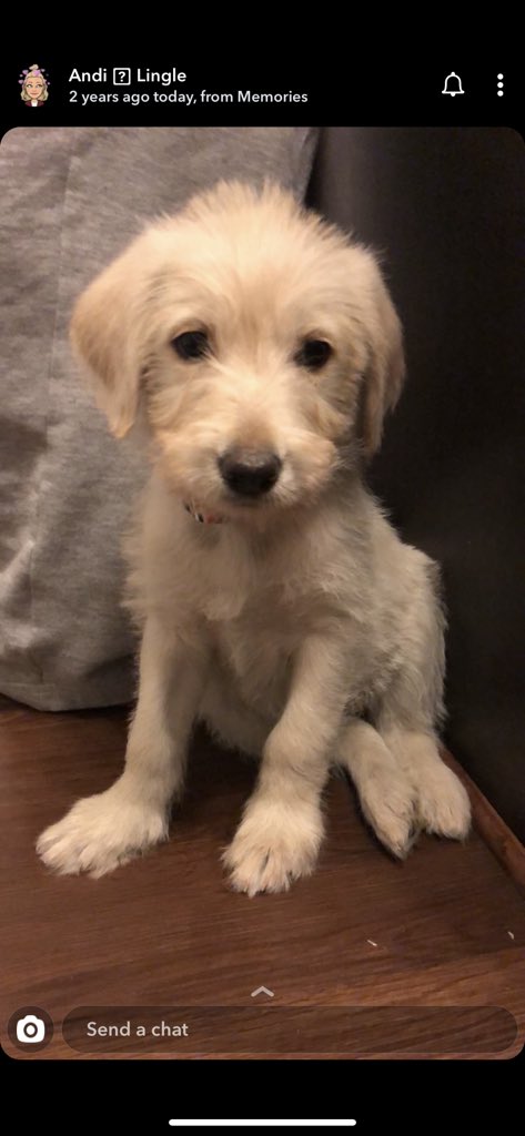 kelseyraejepsen's tweet image. this is jordy as a baby and i never got to meet her when she was this small ugh don’t c/t not in a good headspace