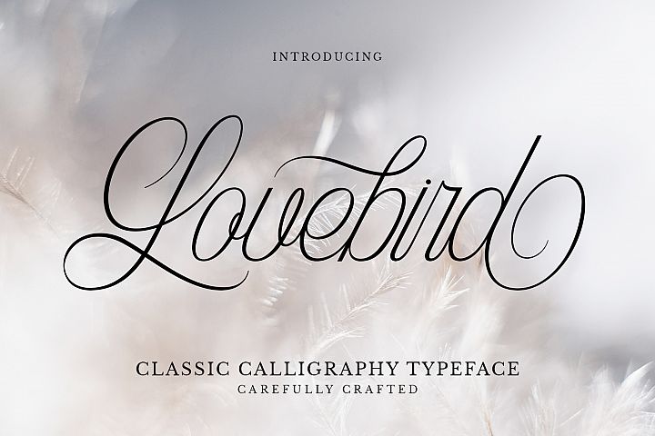 stephsteb's tweet photo. New blog up! Top 10 Font Websites For Any Project - https://t.co/OYxvwPVX6M
I hope you're having a great day!
#font #freefont #fontwars #freefontwebsite #blogging #graphicdesign https://t.co/H0I0YG4ZA2