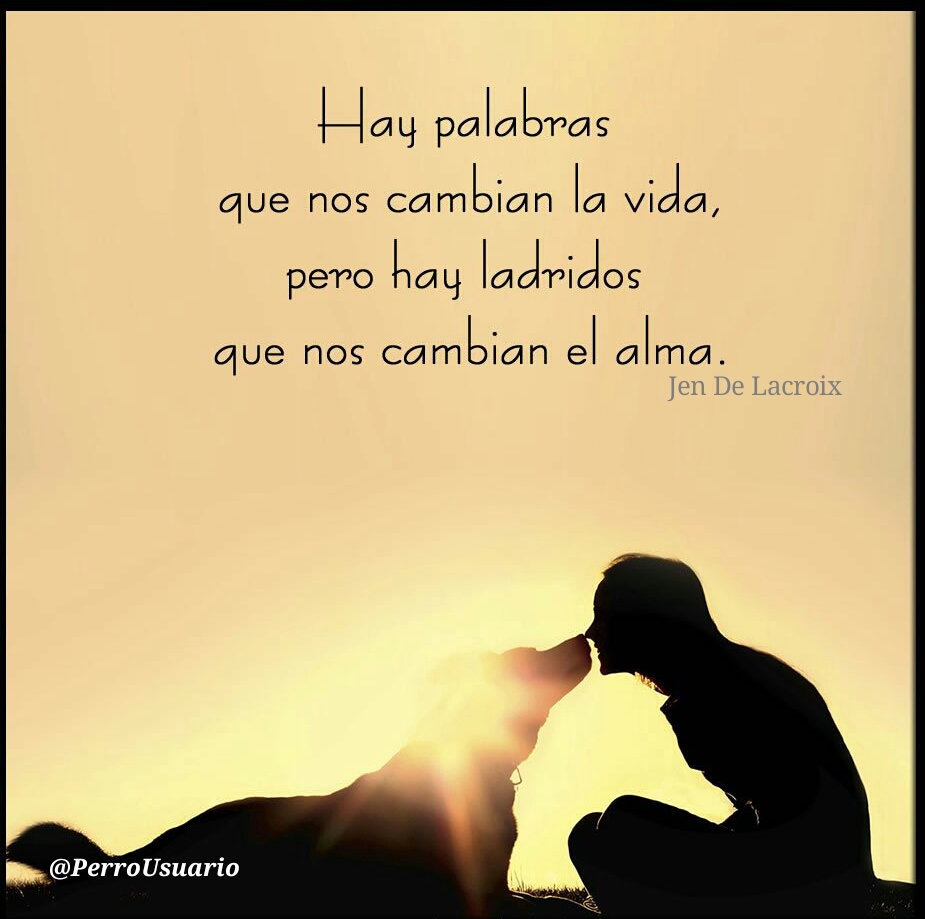 PerroUsuario Wof '•' tweet media