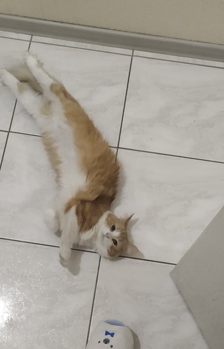 Twitterのコスプレ画像7