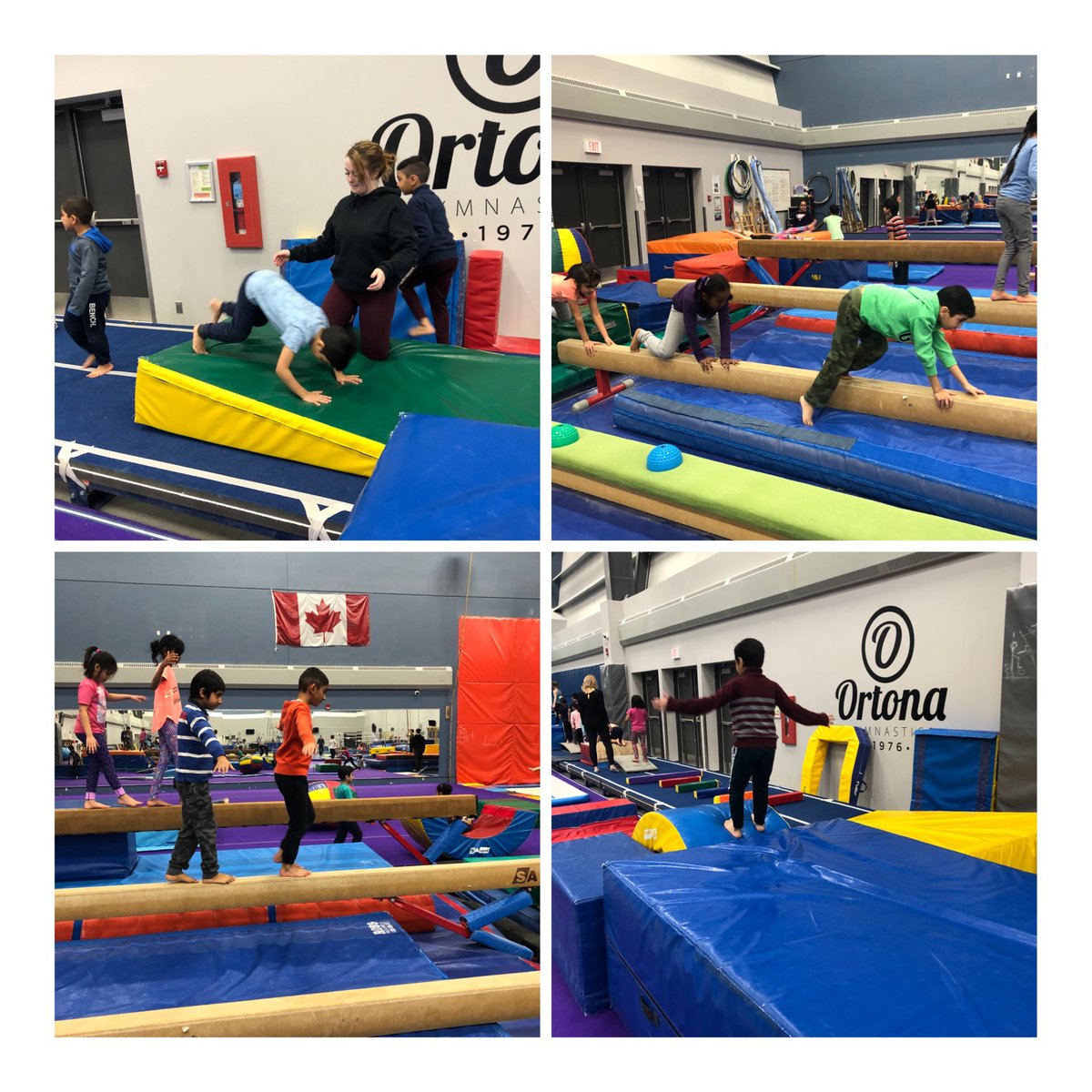 KirchnerKinders's tweet photo. We completed our gymnastics sessions at Ortona Gymnastics Club today! Students learned so many new skills over the last month and had so much fun trying new gymnastics equipment. Thank you for having us Ortona! #gradeone #bissetschool #epsb #activekids https://t.co/XnRY1tmR1v