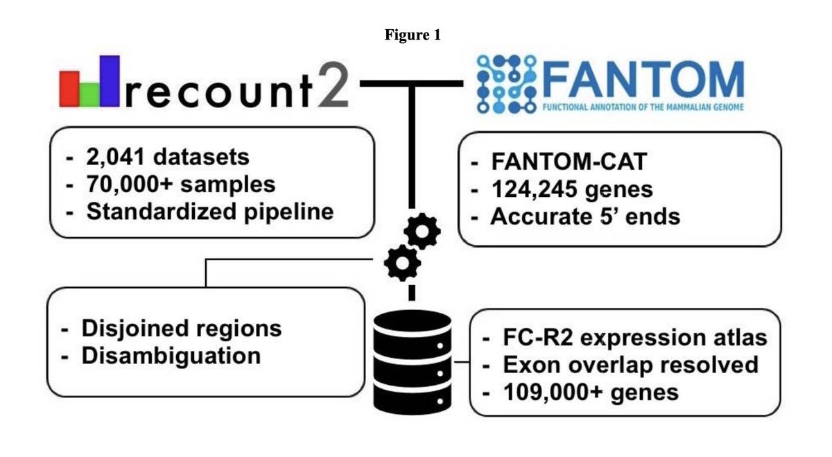 lcolladotor's tweet photo. Congrats to Eddie-Luidy @eddieimada Diego @difersanchez &amp; Luigi @marchionniLab et al for our work published in advance at @genomeresearch https://t.co/hIKaqs8XAm 🎉

It was powered by #recount2's BigWig files https://t.co/tK6iRfDhDr &amp; @FANTOM_project's annotation #RNAseq #rstats https://t.co/MTzZsftpyC
