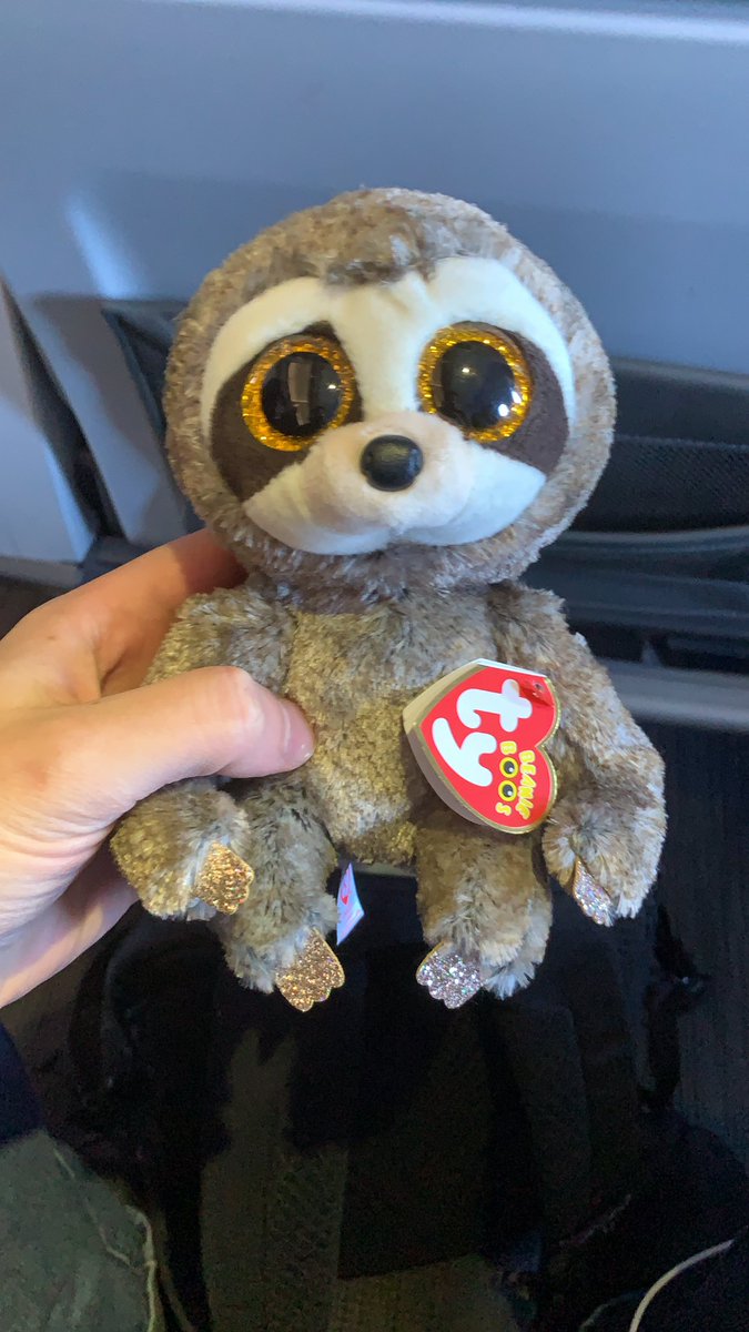 djohns's tweet image. My daughter is really into Racoons so I thought I was doing well bringing this home for her after a work trip...it’s a Sloth. #dadfail