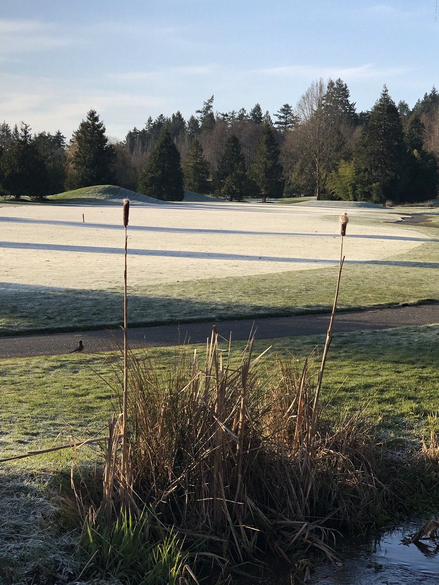 Sharpee2's tweet photo. @CordovaBay looks good...even in the frost! #epicmorning Thanks for the “exclusive” tour 😉 https://t.co/ayDpAZwvAW