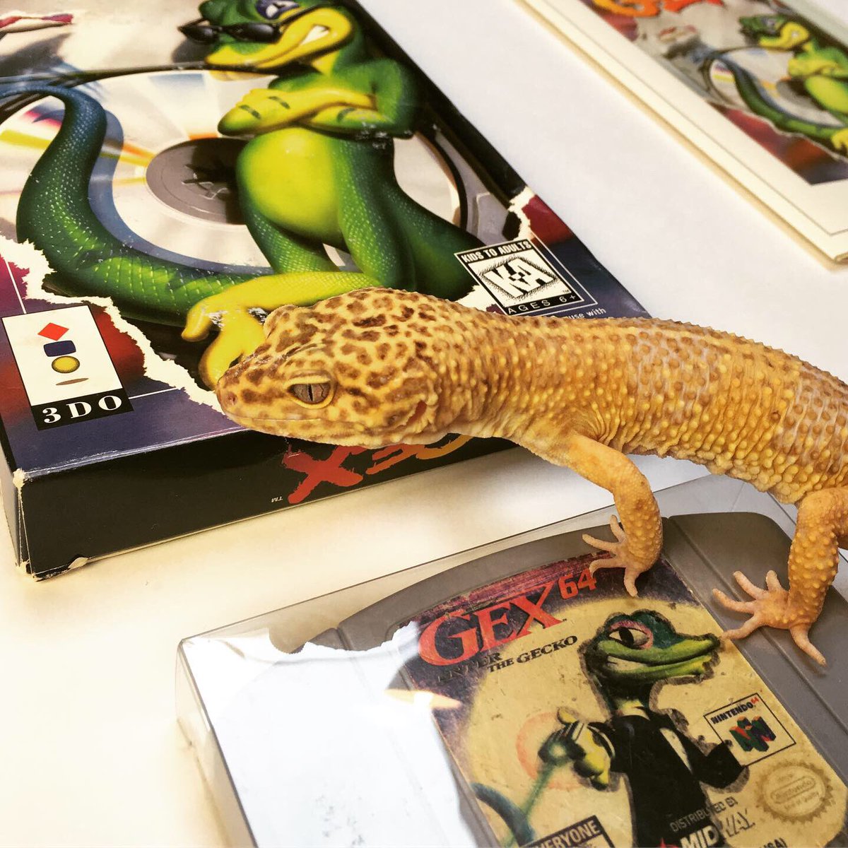 Retronaut_32bit's tweet photo. Sweet like candy...

#gex #crystaldynamics #3DO #2d #platformer #RetroGaming #retrogames #nintendo64 #mascot #gex64 #gamecollection https://t.co/ZqaerBw5j5