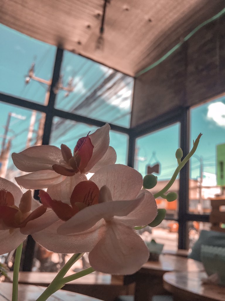Rgno_'s tweet photo. #Lightroom gaming #OwnPreset π·: Me π https://t.co/Y2VqsiCiDa