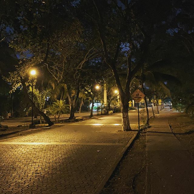 GS_adventures's tweet photo. Playacar evenings. https://t.co/4Ditegg6am https://t.co/iHCaN9mxgz