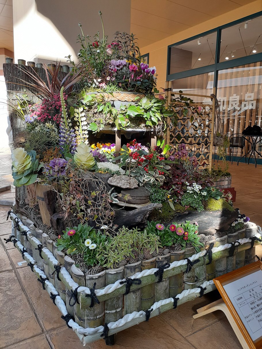 高岡市 花 公財 花と緑の銀行 主催のコンテナガーデンコンテストが始まり 本日から3月1日までファボーレ 婦中町 にて展示しています 高岡から 立野栄町花づくり会 やまびこ花 愛好会 西広谷 が出展しています ぜひ お越しください 花と緑の