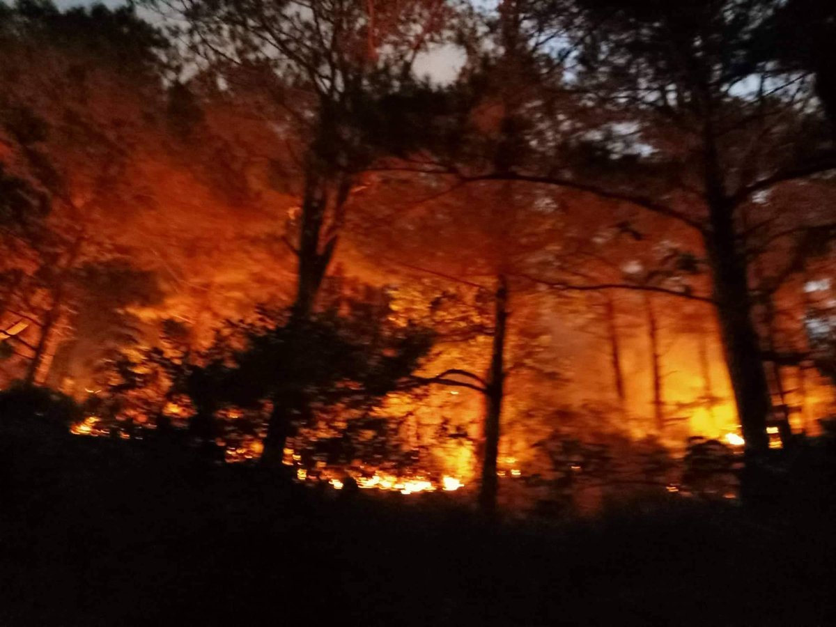 AlertsPea's tweet photo. BREAKING NEWS: Forest fire hits Tublay, Benguet
FOREST FIRE: Vicinity of Brgy. Ambassador, Tublay, Benguet
Involved: Residential
Date: 19 February 2020 - ONGOING
-> FOREST FIRE IN PROGRESS BY BFP
#FireAlert #ForestFire #Tublay #Benguet https://t.co/1QkBdt57lX