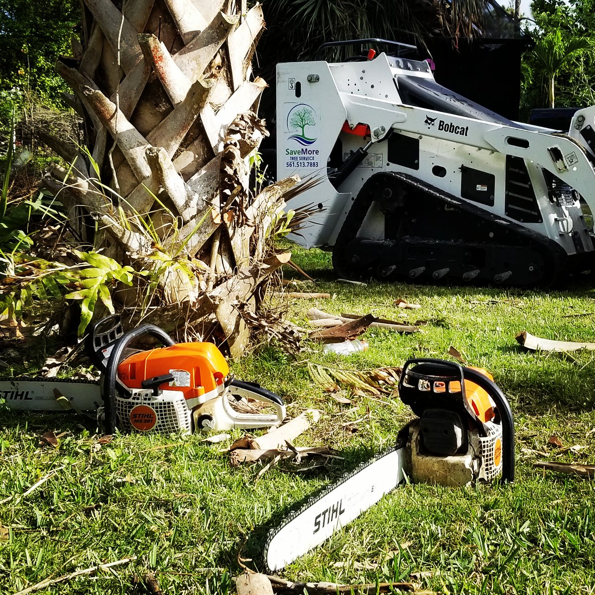 savemoretreesrv's tweet photo. Arbor life! 🌲👍😁 

#arborlife #stihl #SaveMoreTreeService https://t.co/PmRq1JJ8Ft