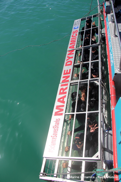 RedLip_PR's tweet photo. If it's both terrifying and amazing, then you should do it.
We're off with @MarineDynamics for our first @WTM_Africa media activation for the upcoming 2020 show!
#RedLipPR
#WTMA20
#IdeasArriveHere
#MarineDynamics
#ScienceSavesSharks
#CapeTownTourism
#CapeTownTravel https://t.co/KlUaDqL35k
